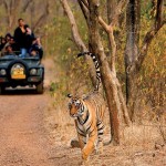 Tourist Places Ranthambore National Park